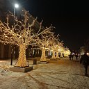 ���� �����, ����������, 51 ��� - ��������� 8 ���� 2026 � ������ ���� ����������