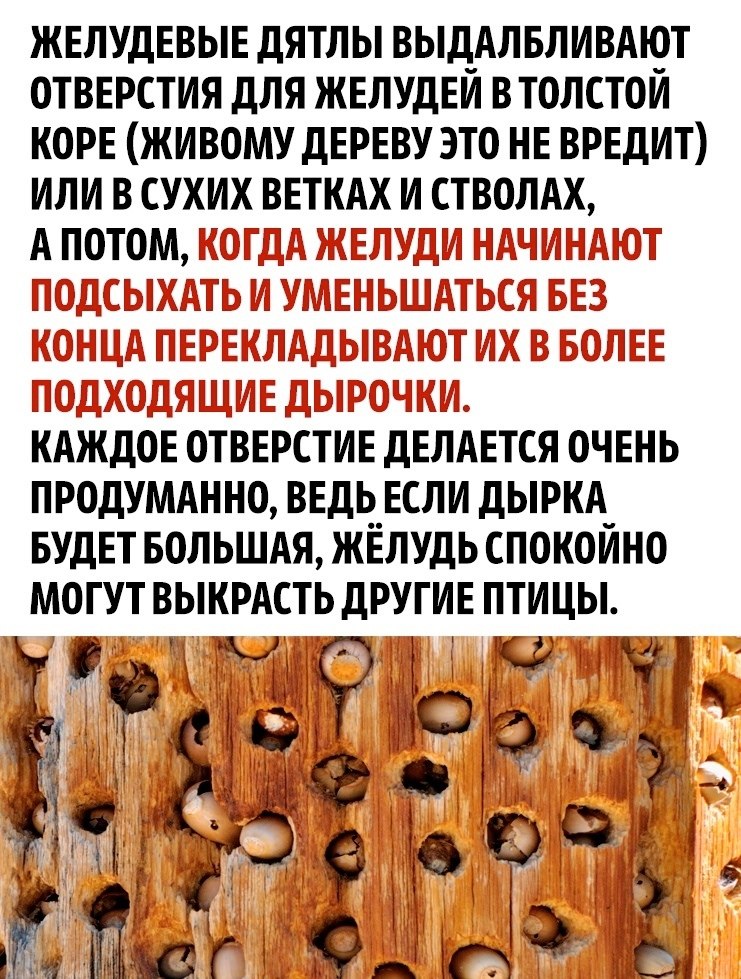       - 2