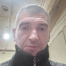 �������, ������, 46 ���