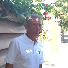 ���� ���������, ���������, 54 ���� - ��������� 30 ���� 2025