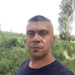 �������, �����, 47 ���