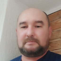 ����, ���������, 46 ���