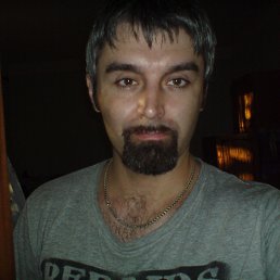 , 41, 