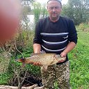 ���� �����, ����, 43 ���� - ��������� 19 ������ 2026