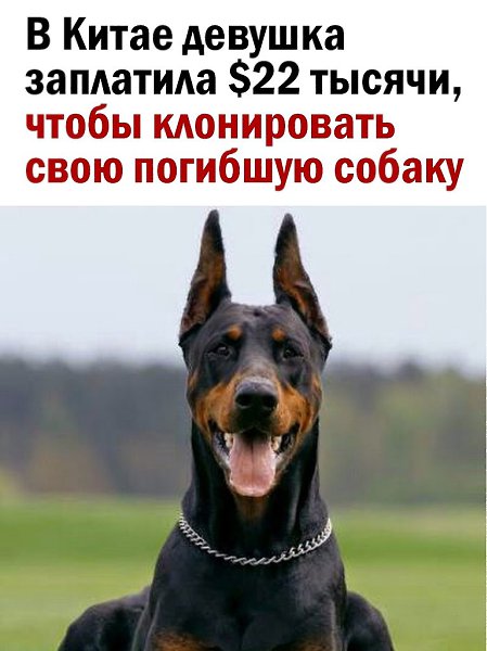 - 18  2025  13:17