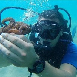 ���� ������, �������, 42 ���� - ��������� 26 ������� 2024