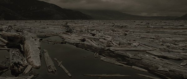  / The Road, 2009.. John Hillcoat - 5