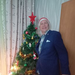 �������, 41 ���, ������