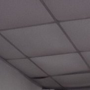 ����, 40 ���, ���������