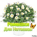 ���� �������, �������, 51 ��� - ��������� 28 ������ 2025 � ������ ���� ����������