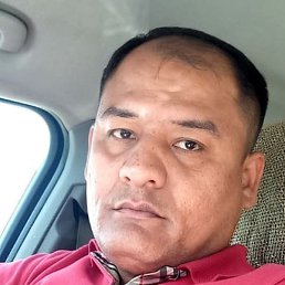 ����, �����������, 43 ����