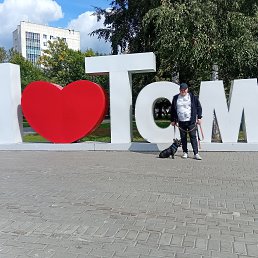 , 37, 