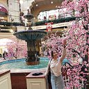 ���� ��������, �����, 48 ��� - ��������� 19 ������� 2025 � ������ ���� ����������