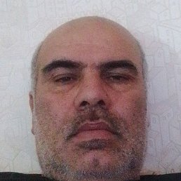 ����, ������, 41 ���