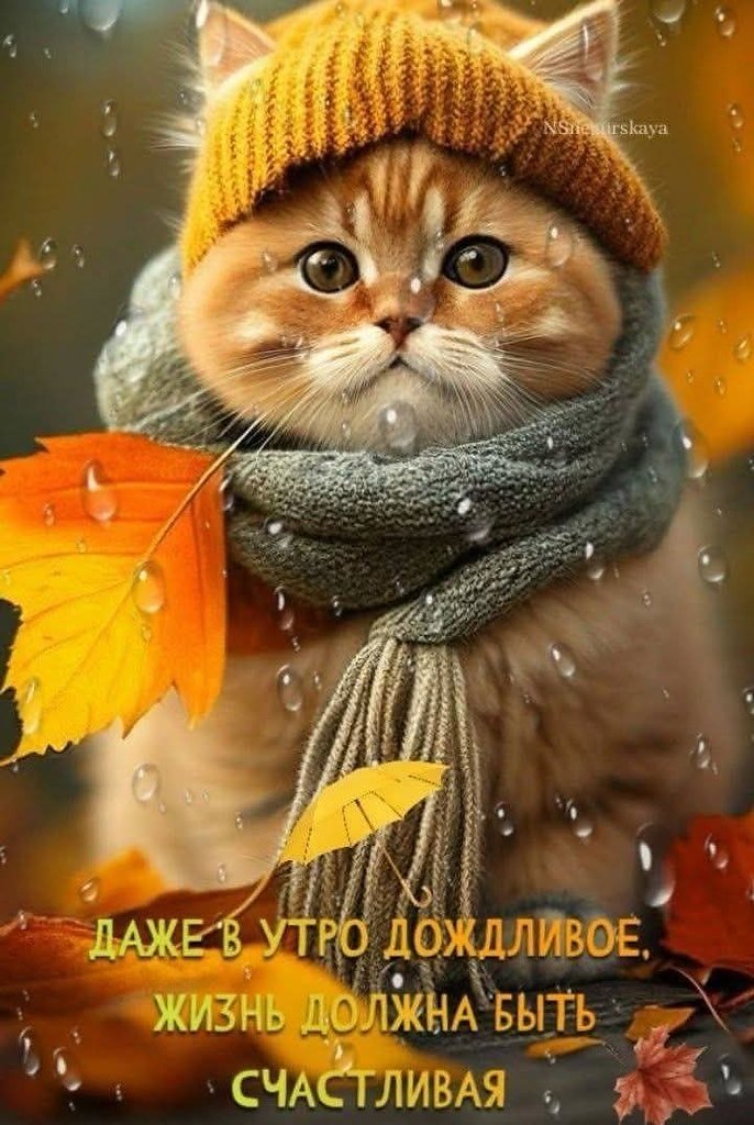 :)