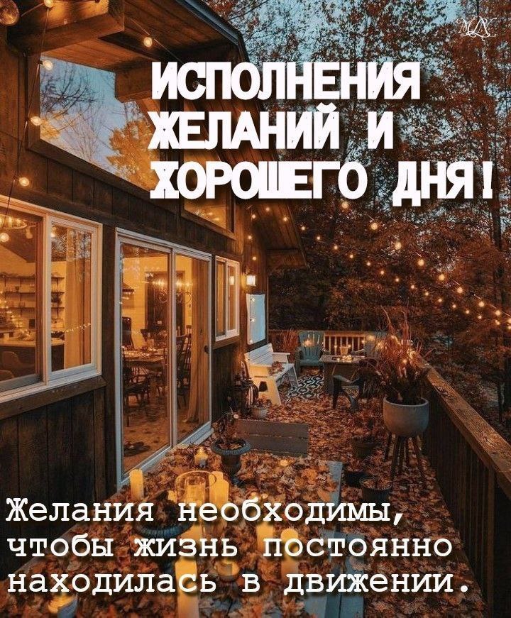   ,    . - 11  2025  14:24 - 4