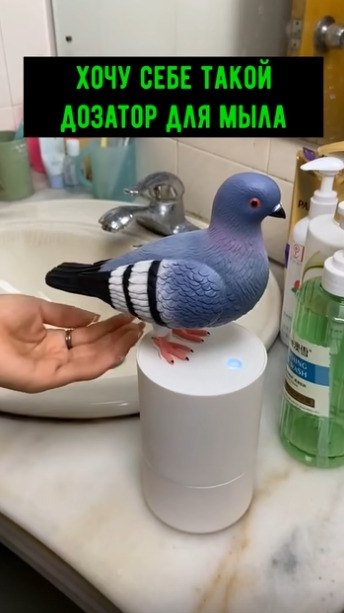 ������ � ���� ���� ����� ������� ��� ����