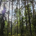 ���� ������, ������ - ��������� 30 ��� 2026 � ������ ���� ����������