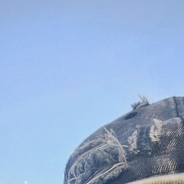 ����, �����������, 57 ���