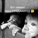 ���� ���-�, �����, 50 ��� - ��������� 28 ������ 2026 � ������ ���� ����������