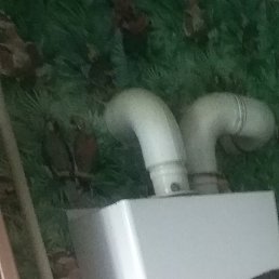 �����, ������, 39 ���