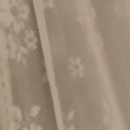 ����, ������������, 38 ���