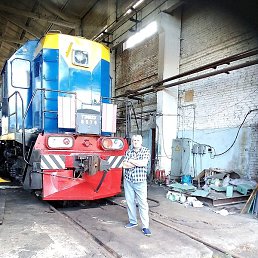 ����������, �����������