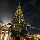  Gina Smirnova, -, 46  -  6  2025    