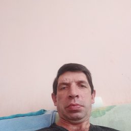 , 52, 