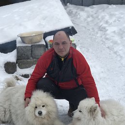 , 40 , -
