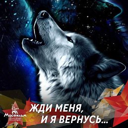 ���� ������, ������, 44 ���� - ��������� 5 ����� 2024