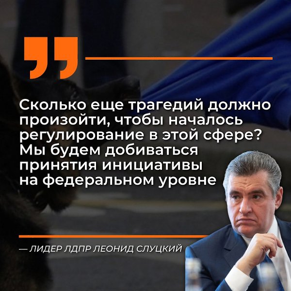 Хозяев крупных собак, выгуливающих своих питомцев без намордников, следует наказывать! Собаки с ... - 5