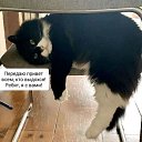 ���� �������, ������, 60 ��� - ��������� 16 ������� 2026 � ������ ������ ��������