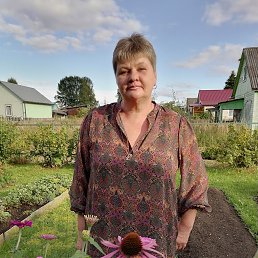 ���� ��������, �����, 62 ���� - ��������� 4 ���� 2025