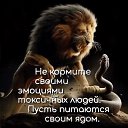 ���� ���������, ���������, 51 ��� - ��������� 30 ������ 2026 � ������ ������ ��������