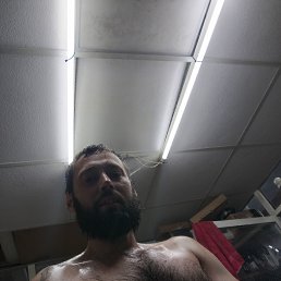 , 37, 