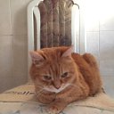 ���� ���� �� �����))) �� ������� ���� ����������