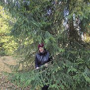 �u��, 43 ����, ������