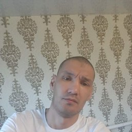 , 42, 