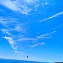 ���� �����, �����������, 56 ��� - ��������� 27 ���� 2025 � ������ ���� ����������