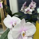 ���� �������, ������ - ��������� 14 ������� 2025 � ������ ���� �������