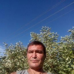 , 49 , 
