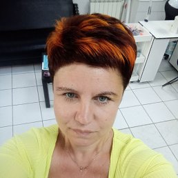 , 44, 