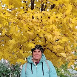  , 53, 