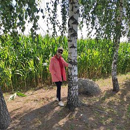 �����, �����, 62 ����