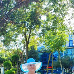 ���� ���������, ����������, 69 ��� - ��������� 24 ������� 2024