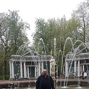 , 53 , 