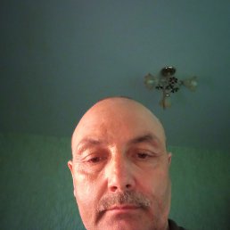 , 55, 