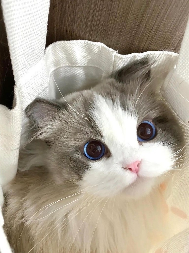 ae oe  aoo  ao co  paco? a oo oaoac? - 3