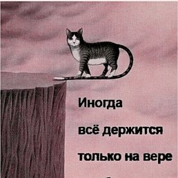 ���� Leo, �����������, 72 ���� - ��������� 27 ������� 2024